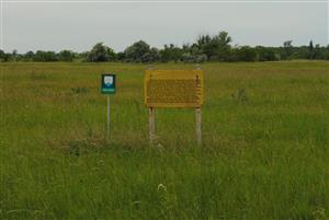 celkový záber lokality, prevažuje Arrhenatherion